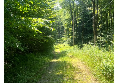 NY cabins for sale
