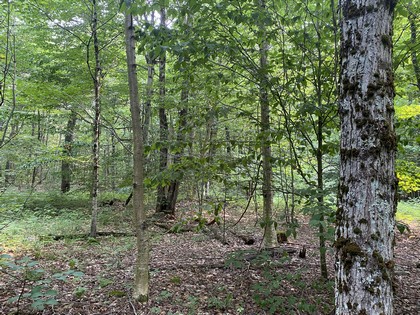 NY waterfront land for sale