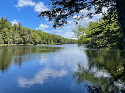 Adirondack camp and land for sale Forestport NY