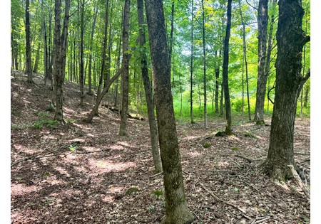 Salmon River NY building site