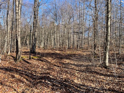 NY southern tier waterfront land for sale
