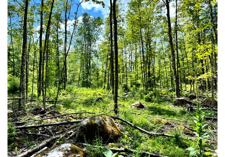 NY land for sale