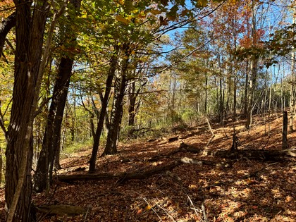 Southern Tier NY land for sale 