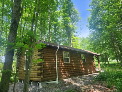 NY camps for sale - Salmon River area