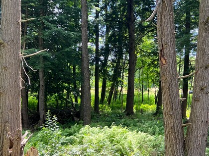 NY land for sale
