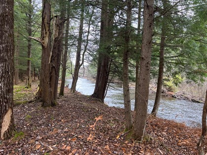 NY waterfront land for sale