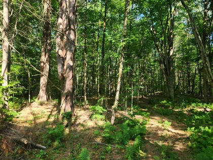 NY land and camp for sale