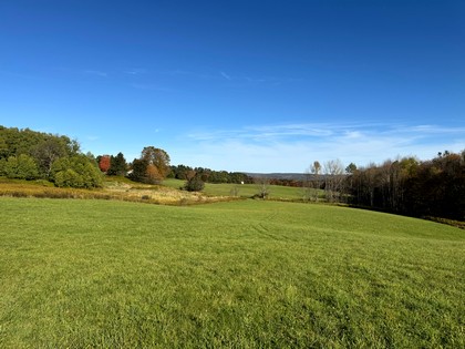 NY Southern Tier hunting land for sale