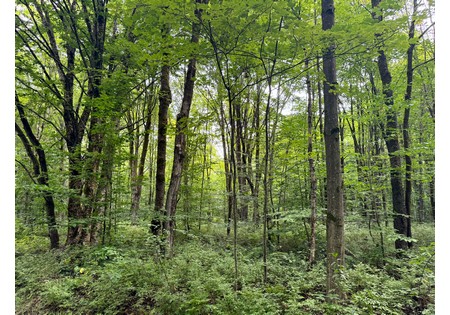 ny hunting camps for sale