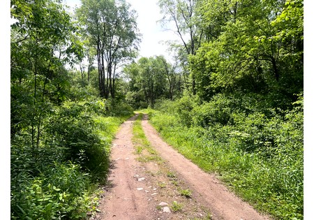 Camps for sale Williamstown NY