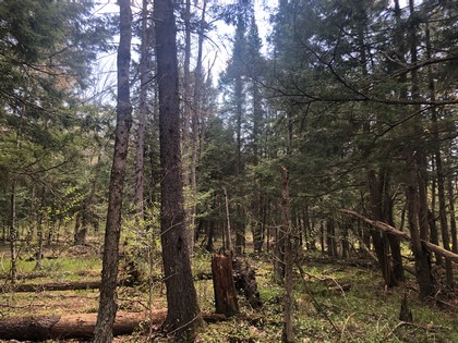 Building site near Adirondacks - NY Land for sale