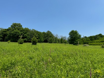 NY land for sale