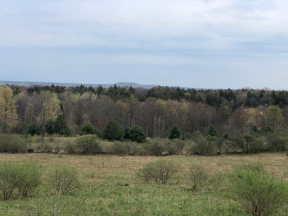 NY land for sale in Camden NY