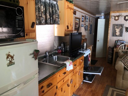 NY cabin for sale southern tier, NY