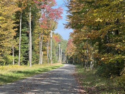 Adirondack NY land for sale