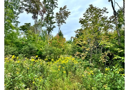 NY hunting land