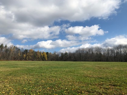 NY hunting land for sale