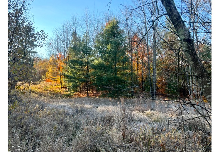 NY cabins for sale