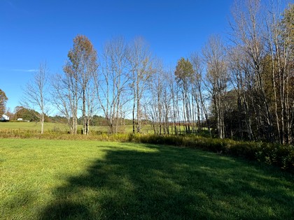 NY Southern Tier hunting land for sale