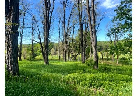 NY southern tier hunting land for sale