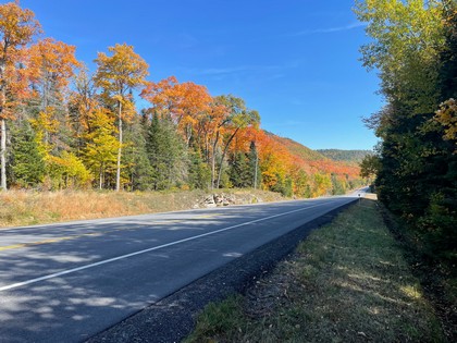 Adirondack land for sale