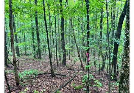 NY Finger Lakes land for sale
