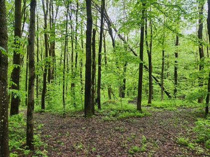 NY camps for sale
