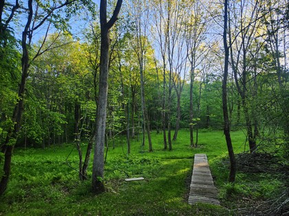NY camps for sale
