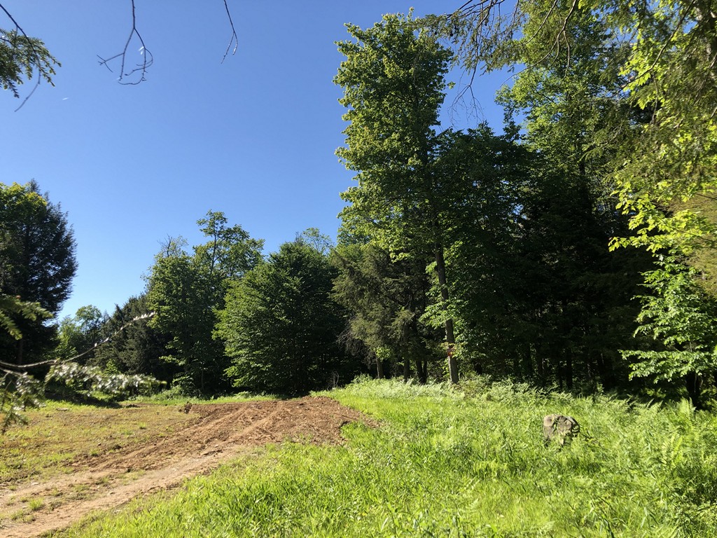 NY hunting land for sale