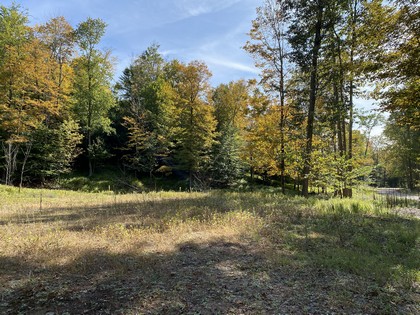 NY land for sale near Oneida Lake