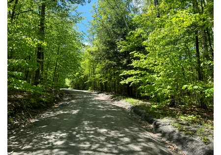  Adirondack land for sale