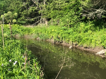 Waterfront land for sale in Fly Creek, NY
