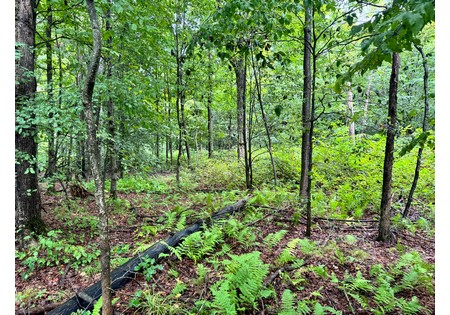 Finger Lakes area NY land for sale