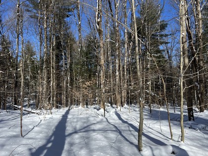 NY land for sale