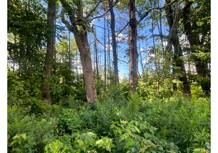 NY hunting camps for sale