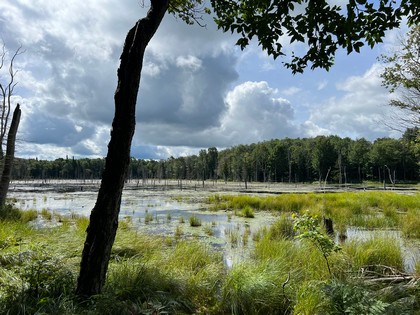 NY waterfront land for sale, land and camps, ny waterfront properties, ny lakefront land, christmas associates