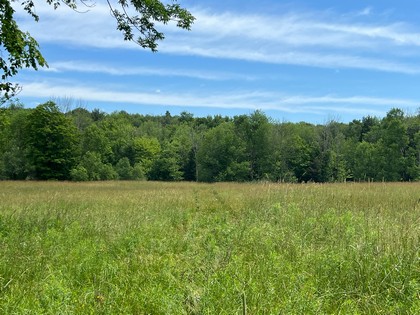 NY land for sale