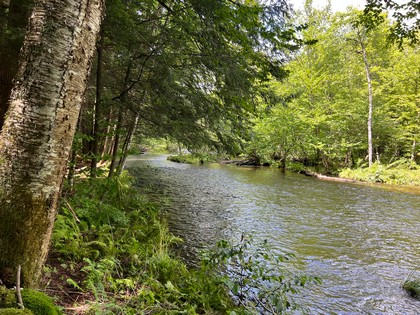 NY waterfront land for sale, land and camps, ny waterfront properties, ny lakefront land, christmas associates