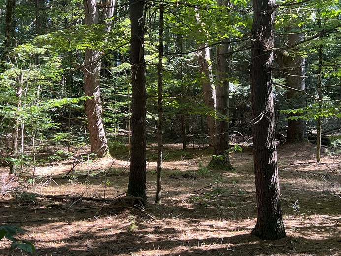 Camps For Sale On Oneida Lake