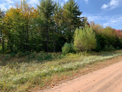 NY land for sale near Oneida Lake NY