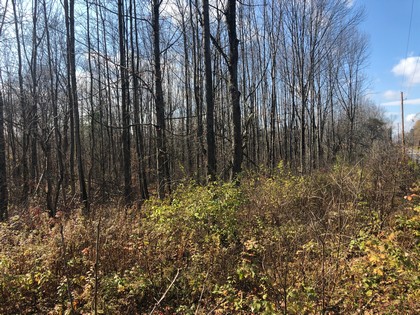 NY hunting land for sale Pharsalia NY