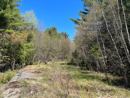 NY hunting land for sale Diana NY