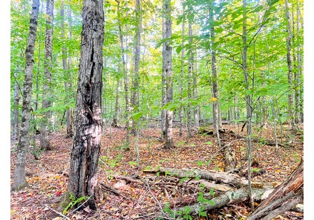 Tug Hill NY hunting land for sale