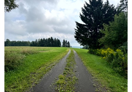 Finger Lakes NY homes for sale