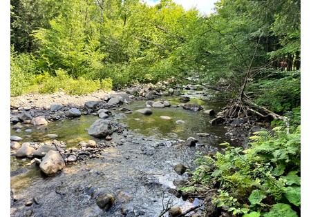 NY hunting land for sale