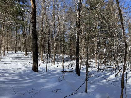 NY land for sale