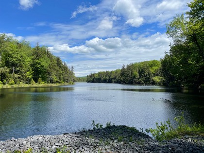 Adirondack camp and land for sale Forestport NY