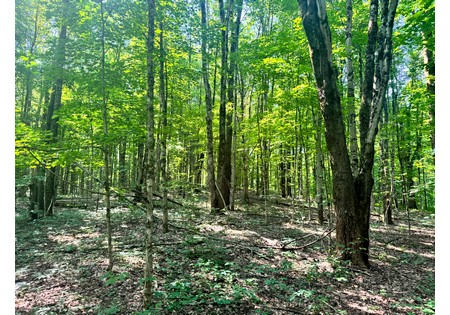 NY Salmon River area land sale
