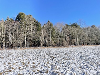 NY hunting land for sale