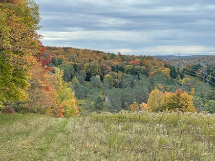 NY land for sale near Catskills
